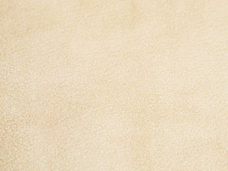 Lakawsanna Leatherser 030