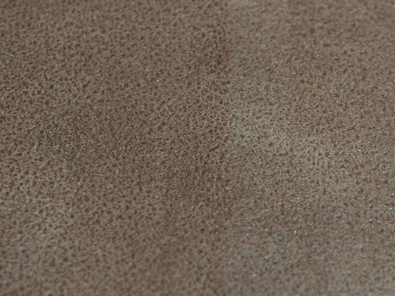 Lakawsanna Leatherser 040